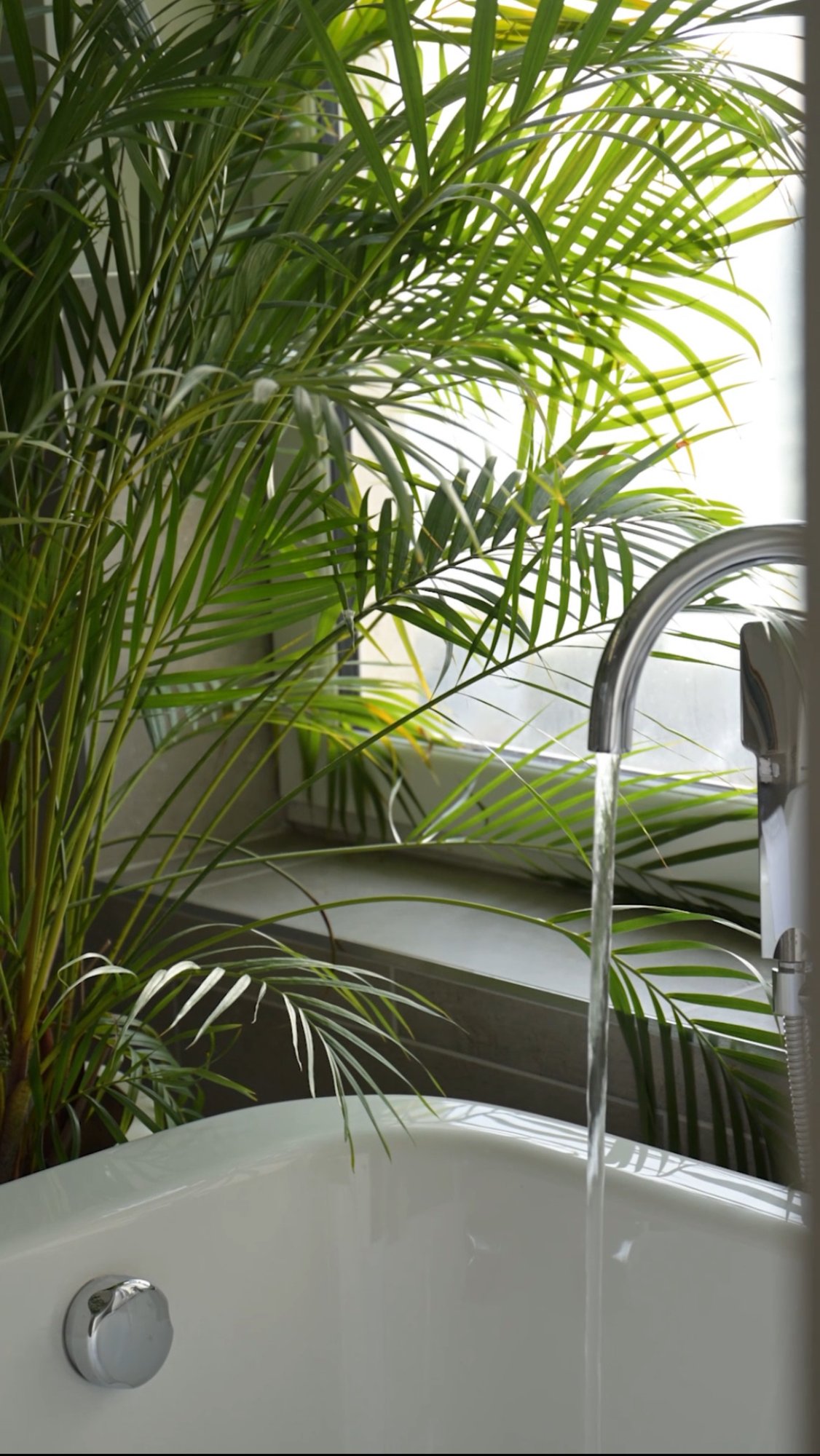 Freestanding bath with tropical plants